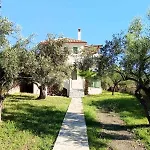 Boucamvillia's Luxury House