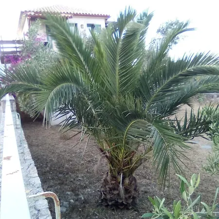 Boucamvillia's Luxury House