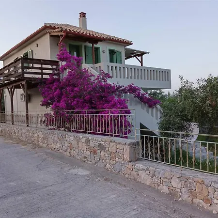Boucamvillia's Luxury House *