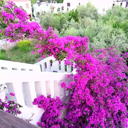 Lägenhet Boucamvillia's Luxury House *