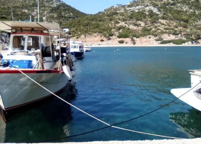 Boucamvillia's Luxury House