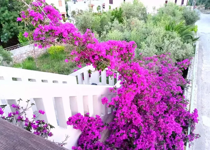 Apartment Boucamvillia's Luxury House *